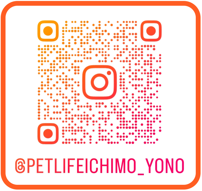 いちも動物病院のインスタグラム