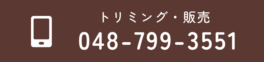 トリミング・販売 048-799-3551